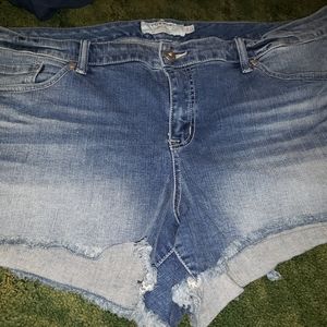 Torrid shorts